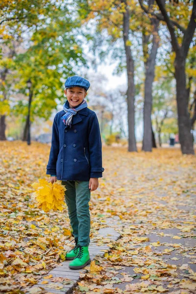 Güzel çocuk çocuk sonbahar doğada — Stok fotoğraf