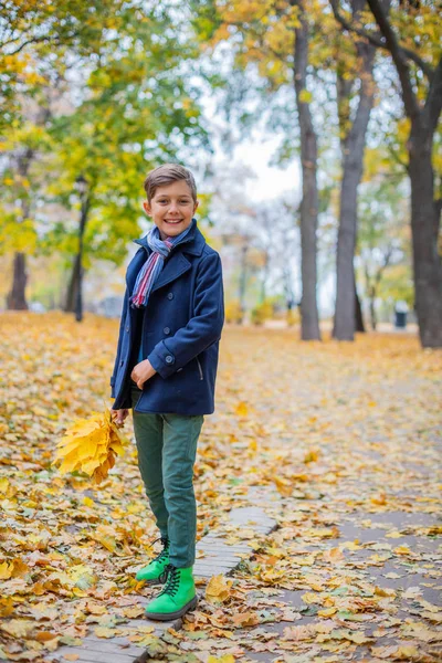 秋の自然の中の美しい子供男の子 — ストック写真