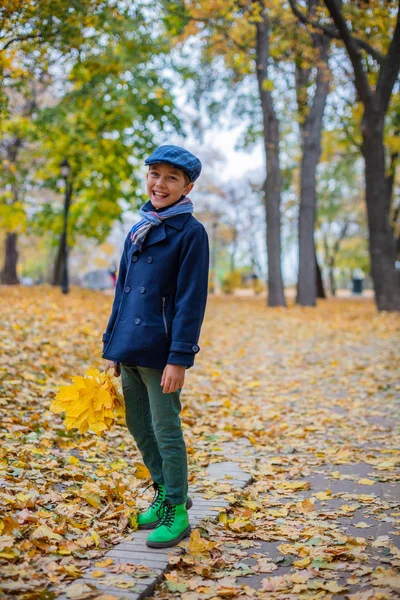 Beautiful child boy in the autumn nature — Stock Photo, Image
