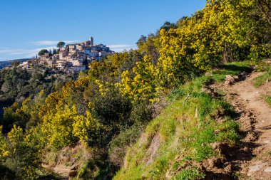 Bormes-les-Mimosas köyünün panoramik manzarası. Önplanda çiçek açan Mimosa ağaçları.