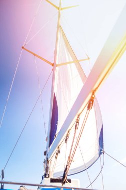 Yelkenli. Açık denizde beyaz yelkenli gemi yatları.