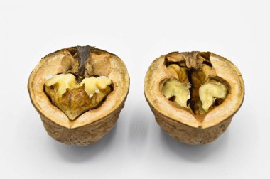 Sağlıklı ve besleyici bej kahverengi fındık taneleri, beyaz arka planda izole edilmiş.