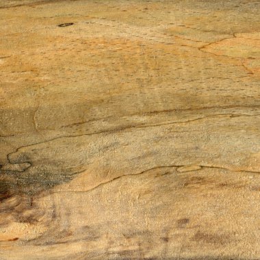 Tahta dokusu. Hornbeam tahtası, arkaplan olarak kullanılabilir, kalıp arkaplan