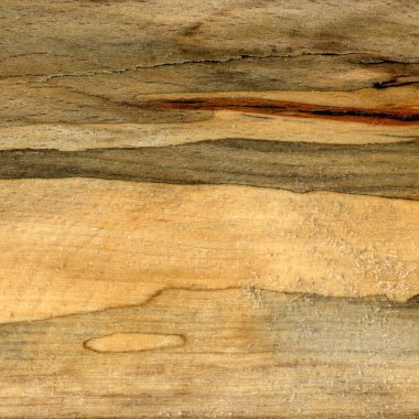 Tahta dokusu. Hornbeam tahtası, arkaplan olarak kullanılabilir, kalıp arkaplan