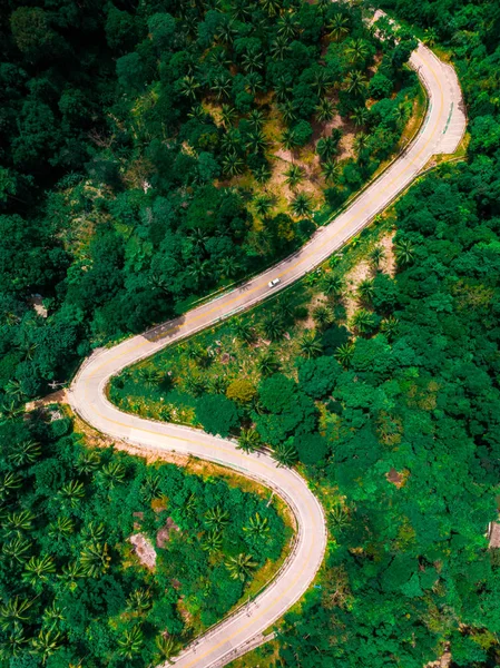 zig zag yolun ortasında dron orman görünümünden görünümünü
