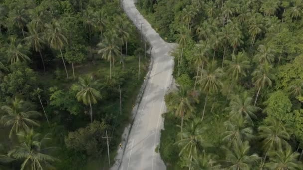 3 flat aerial shots in cinelike-D. Biker riding motorcycle by the road — Stock Video