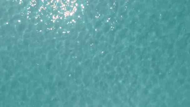 Sunny day top view of crystal clear water, looped background, natural texture — Stock Video