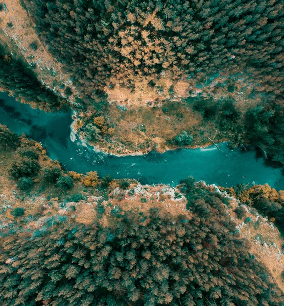 Rio que flui na floresta. Vista aérea — Fotografia de Stock