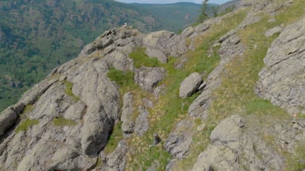 Eine junge Frau sitzt am Rande einer Bergklippe — Stockvideo