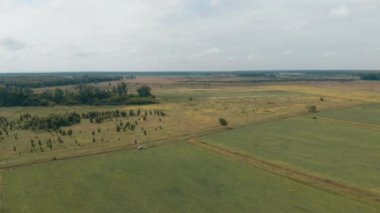 havadan görünümü ile Rusya'da yeşil alanlar bir küçük ülke yolda küçük bir araba kullanıyor