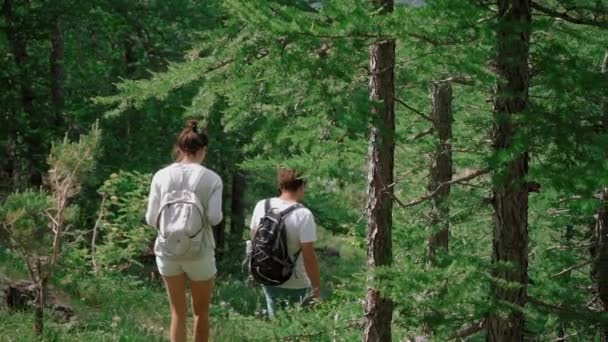 Pohled zezadu: pár s batohy na zádech následovat cestu v lese