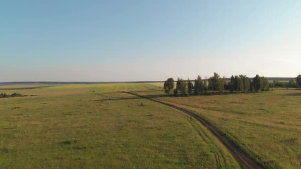 Luftaufnahme. Flug über grüne grasbewachsene Hügel im Sonnenuntergang — Stockvideo