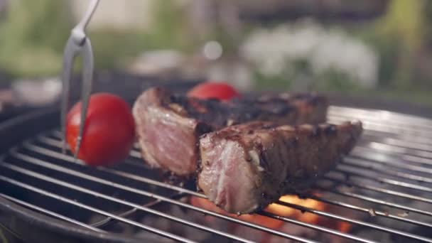 Gros plan des côtes de porc cuites sur le barbecue — Video