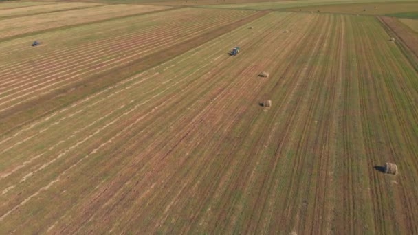 Bauer arbeitet auf seinem Land — Stockvideo