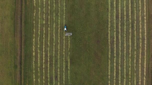 Luchtfoto van boven naar beneden van de trekker snijden gras en vooruit zich beweegt — Stockvideo