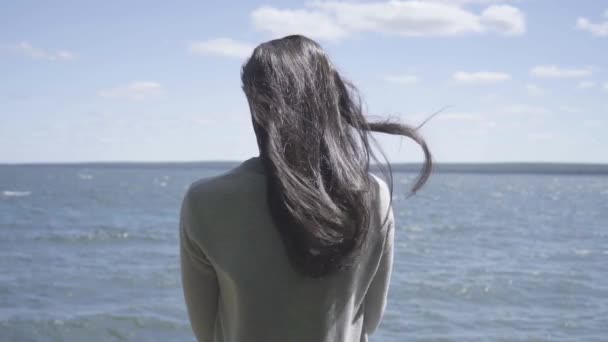 Πίσω όψη του νεαρή μελαχρινή γυναίκα μόνιμη και να βλέπουν τη λίμνη. άνεμος φυσάει τα μαλλιά της σε αργή κίνηση — Αρχείο Βίντεο