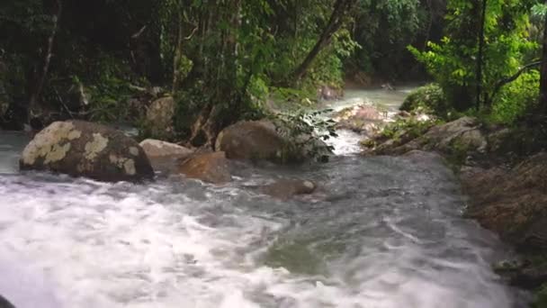 Μαγικό σκηνικό τροπικού δάσους και ποταμού με βράχους — Αρχείο Βίντεο