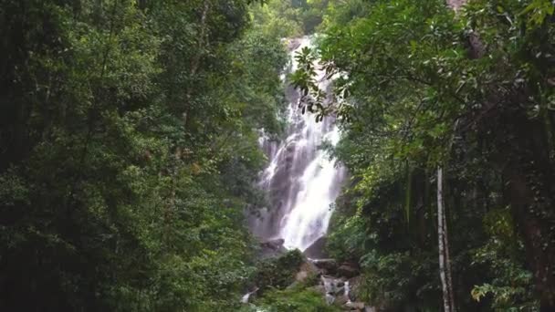 Amazing waterfall, Falling water, Lush green leaves is waving by the wind — Stock Video