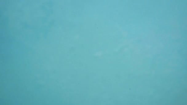 Manos humanas bajo el mar, superficie del agua, mar azul, burbujas — Vídeos de Stock