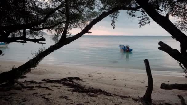 Bateau à moteur flottant sur l'océan près du rivage — Video