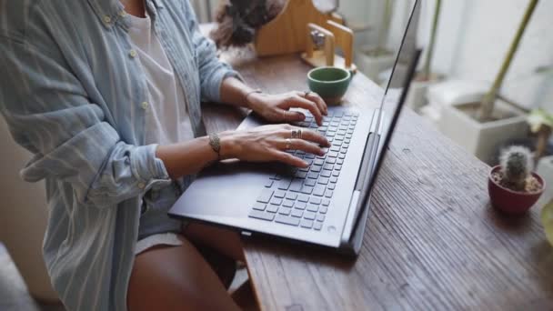 Femme assise à un bureau avec son ordinateur portable fonctionnant — Video