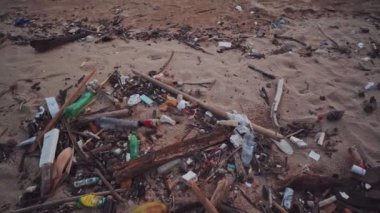 Tropikal denizin sahillerinde kirlilik.