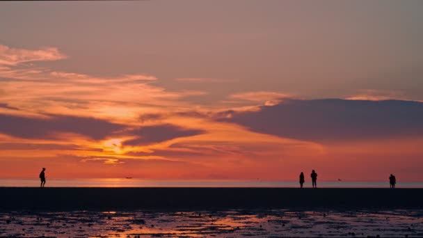 Lidé procházející se po pláži při západu slunce — Stock video