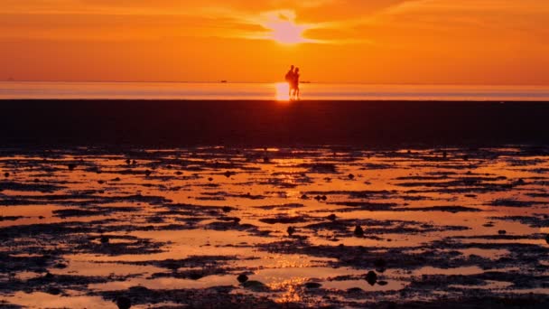 Mensen die bij zonsondergang langs het strand lopen — Stockvideo