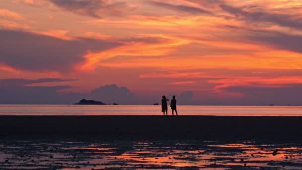 Pessoas caminhando pela praia ao pôr do sol — Vídeo de Stock