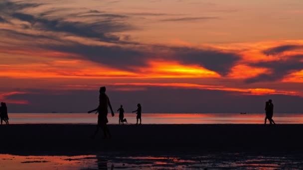 Gente caminando por la playa al atardecer — Vídeos de Stock