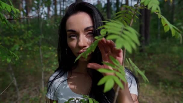 Mulher de pé ao lado de uma árvore em uma floresta — Vídeo de Stock