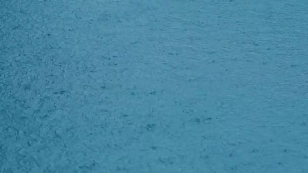 Regentropfen fallen im blauen Wasser des Swimmingpools eines Hotels in Thailand — Stockvideo