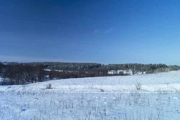 Зимний Пейзаж Поле Лесом Фоне Голубого Неба Солнечный День — стоковое фото