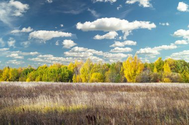 Ahşap ve beyaz bulut ile güzel mavi gökyüzü ile sonbahar manzara                              