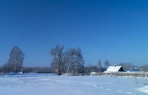 Зимний пейзаж с замерзшей древесиной — стоковое фото