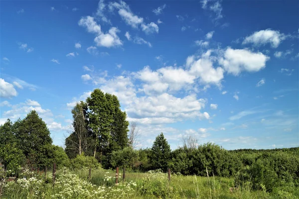 背景の青い空白い雲の農村地形で年風景 — ストック写真