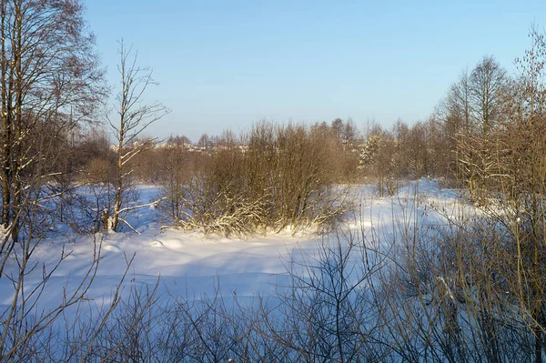 The Winter landscape in wood at solar day on background blue sky