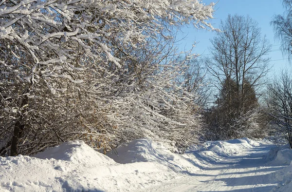 Δρόμο χειμώνα σε ξύλο με κατεψυγμένα δέντρο — Φωτογραφία Αρχείου