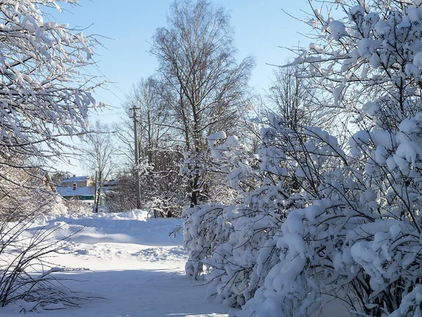 Winterlandschap in landelijke terrein — Stockfoto
