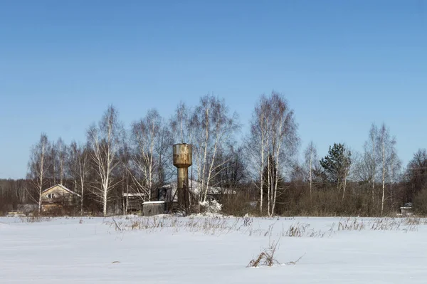 Vinterlandskab med landsby i birketræ - Stock-foto
