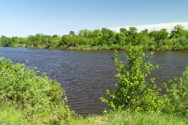 Nehir ile kırsal arazide Bahar manzara