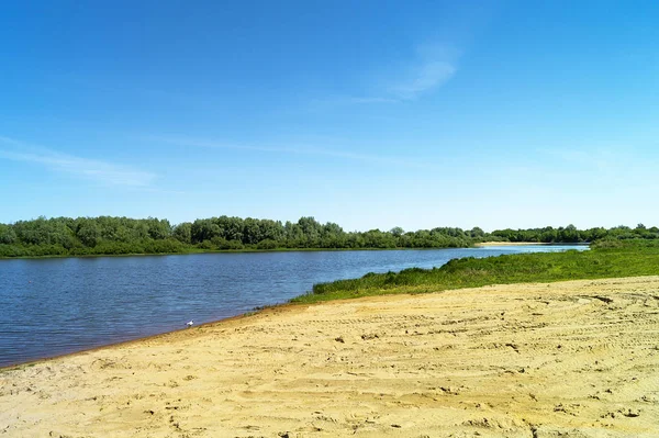 Река в сельской местности в весенний период — стоковое фото