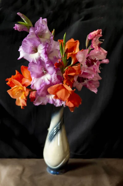 Bouquet from colour of the gladiolus in vase on dark background — Stock Photo, Image