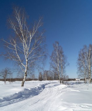 Kış manzara kırsal arazide
