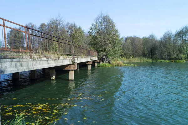 Landscape with bridge through stream — Stock Photo, Image