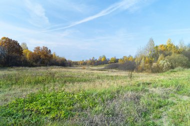 Güneş Gününde kırsal alanda sonbahar manzarası