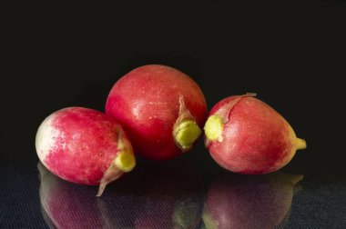 Siyah arkaplanda yansıması olan kırmızı turp. Yıl içinde masada olgun sebzeler