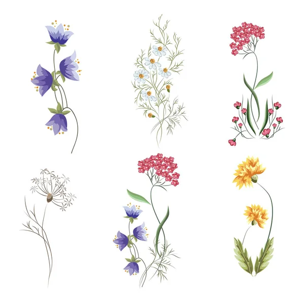 Set van grafische elementen voor botanische composities — Stockvector