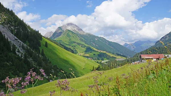 Krajina Vorarlbersko Rakousku Horské Vrcholy Lesy Svěží Louky Popředí Jsou — Stock fotografie