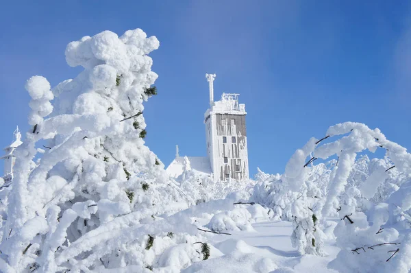 Ciel Sans Nuages Lumineux Pays Des Merveilles Hivernales Sur Fichtelberg — Photo